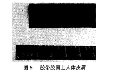 1517024989669092.jpg 006.jpg